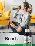 Horbäach Echinacea Goldenseal Alcohol-Free Extract Drops