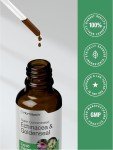 Horbäach Echinacea Goldenseal Alcohol-Free Extract Drops