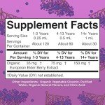 MaryRuth Organics Vegan Elderberry Syrup for Immunity