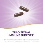 Black Elderberry Immune Support Capsules - 100 Count