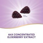 Vegan Elderberry Immune Gummies with Vitamins 60ct