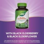 Black Elderberry Immune Support Capsules - 100 Count