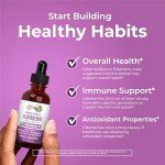 MaryRuth Organics Vegan Elderberry Syrup for Immunity