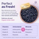 Organic Dried Elderberries for Immune Support - 1lb