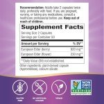 Black Elderberry Immune Support Capsules - 100 Count