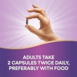 Black Elderberry Immune Support Capsules - 100 Count