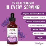 MaryRuth Organics Vegan Elderberry Syrup for Immunity