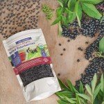 Organic Dried Elderberries for Immune Support - 1lb