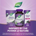 Vegan Elderberry Immune Gummies with Vitamins 60ct
