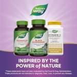 Black Elderberry Immune Support Capsules - 100 Count
