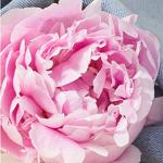 Lucky You Perfume for Women, Floral Citrus Spray