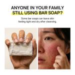 ROUND LAB Dokdo Low pH Vegan Facial Cleanser