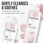 Vegan Rose Water Shampoo & Conditioner Set