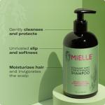 Mielle Organics Rosemary Mint Strengthening Shampoo, 12 oz