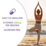 VH Nutrition VITEX+ Vitex Chasteberry for Women's Health