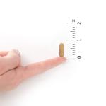 Prenatal Multivitamin with Iron & Probiotics