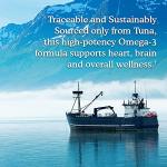 Garden of Life Omega 3 Fish Oil Softgels