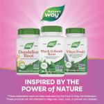 Black Cohosh Root for Women's Health, 540 mg