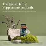 Gaia Herbs Vegan Adrenal Support with Ashwagandha