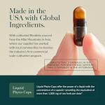 Gaia Herbs Adrenal Health Support - 60 Vegan Caps