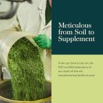 Gaia Herbs Adrenal Health Support - 60 Vegan Caps