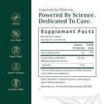 GAIA HERBS Rhodiola Energy Support Phyto-Caps