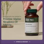 GAIA HERBS Rhodiola Energy Support Phyto-Caps