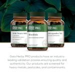 GAIA HERBS Rhodiola Energy Support Phyto-Caps