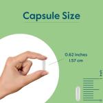 Vegan Zinc Chelate 50mg - 240 Capsules