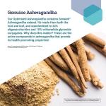 Optimized Ashwagandha Veg Capsules - Non-GMO, Gluten Free