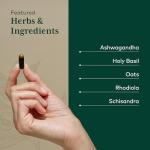 GAIA HERBS PRO Daytime HPA - Vegan Adaptogen Support