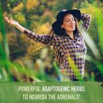 Garden of Life Vegan Adrenal Balance Supplements