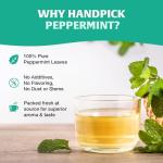Peppermint Tea Bags - 100 Count, Vegan Friendly