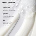 Paula's Choice Vegan Foaming Cleanser for Oily Skin