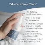 Earth Mama Postpartum Recovery Kit with Organic Balm