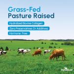 ForestLeaf Multi Collagen Pills with Vitamin C