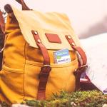 Boiron StressCalm On-The-Go Stress Relief Pellets