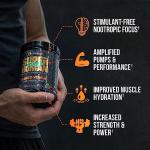 Alpha Lion Superhuman Pump Pre Workout Powder - Mango