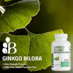Ginkgo Biloba for Brain Function & Memory Support