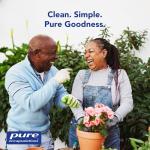 Pure Encapsulations Brain Reset for Clarity & Focus