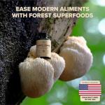 Lion’s Mane & Turkey Tail Mushroom Capsules, 1200 mg