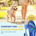 Magnetic Arch Support Insoles for Women