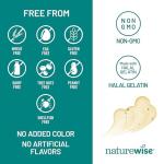 NatureWise Vegan Omega 3 Supplement - 60 Softgels