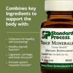 Vegan B12 Trace Minerals for Thyroid Support