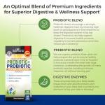 Vegan Probiotics for Gut and Immune Health