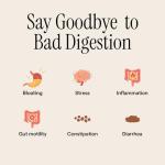 Nudge All-in-One Digestive Aid with Herbs