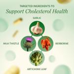 Vegan Cholesterol Support with Artichoke and Garlic
