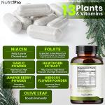 Natural Blood Pressure Support with Hawthorn & Hibiscus