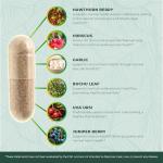 Vegan Heart Health Supplements with Hawthorn & Garlic