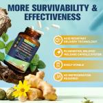 Totaria 5-in-1 Probiotic for Gut Health